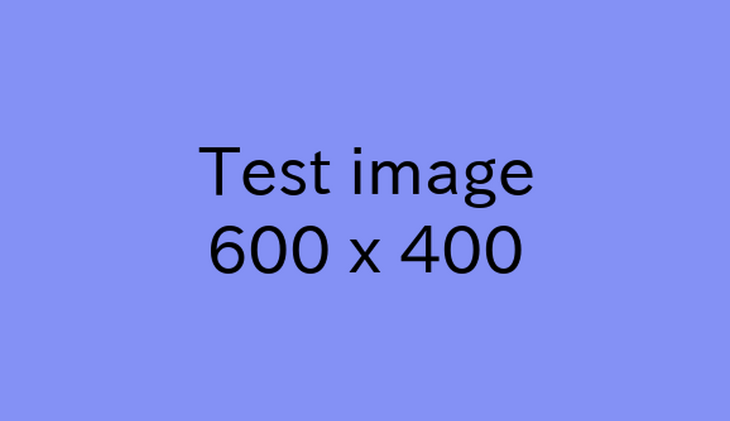 test レポート