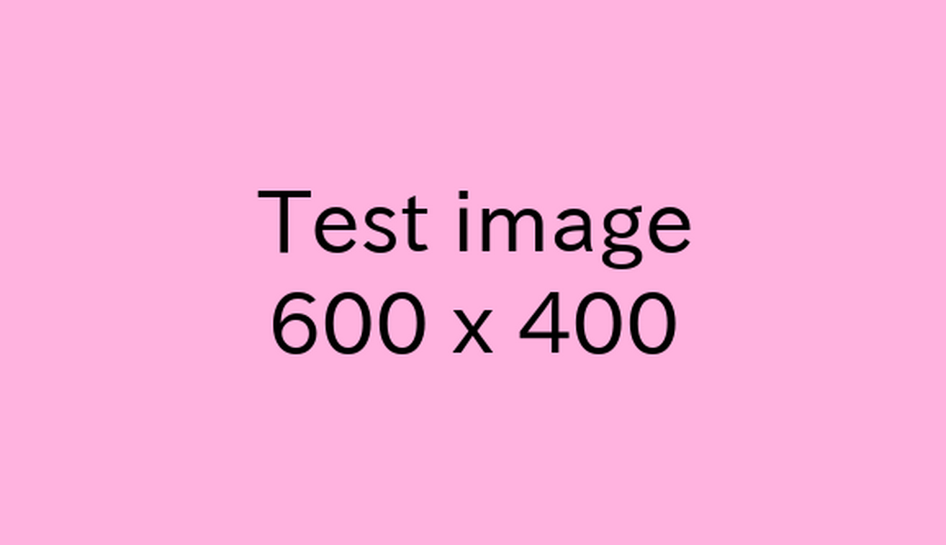test レポート
